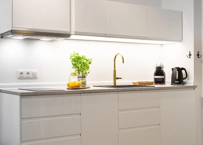 Apartmán Za Bramka Centrum *